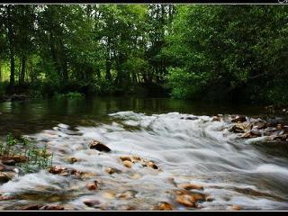 Camino 4*